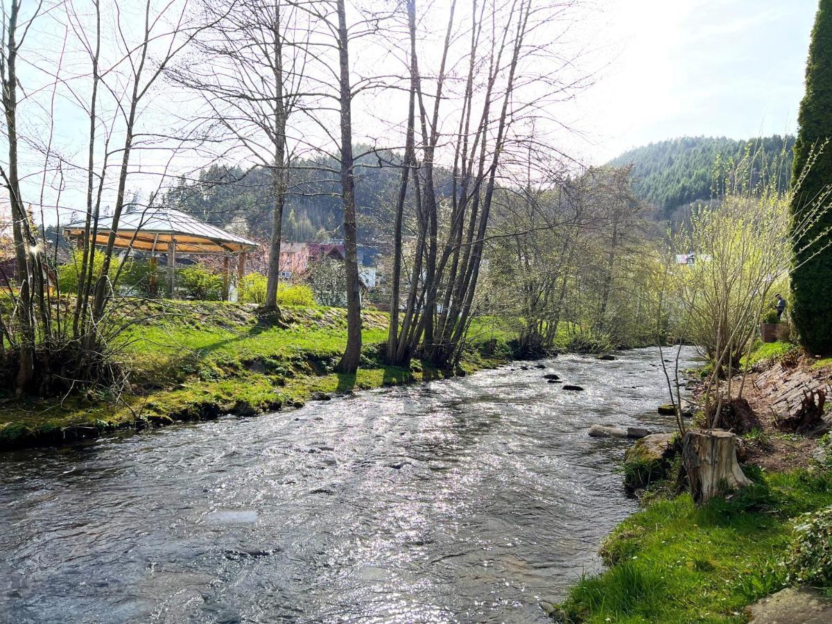 Ferienwohnung Kinzigblick *NEU* für Familien im Schwarzwald Kinzigtal Schenkenzell Exterior foto